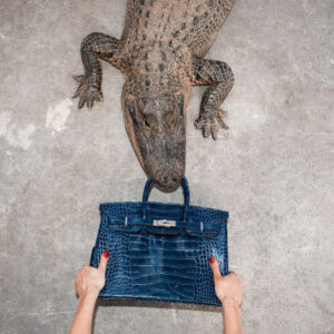 Shields, Gator Birkin II, blue birkin bag pulled between a crocodiles mouth and female hands