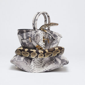 Shields, Python Birkin, snake wrapping around a birkin bag