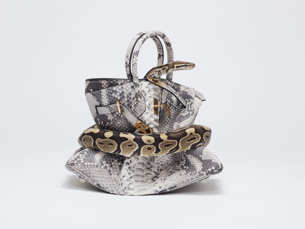 Shields, Python Birkin, snake wrapping around a birkin bag