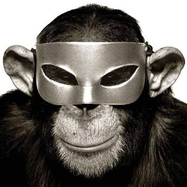 Albert Watson Monkey with Mask