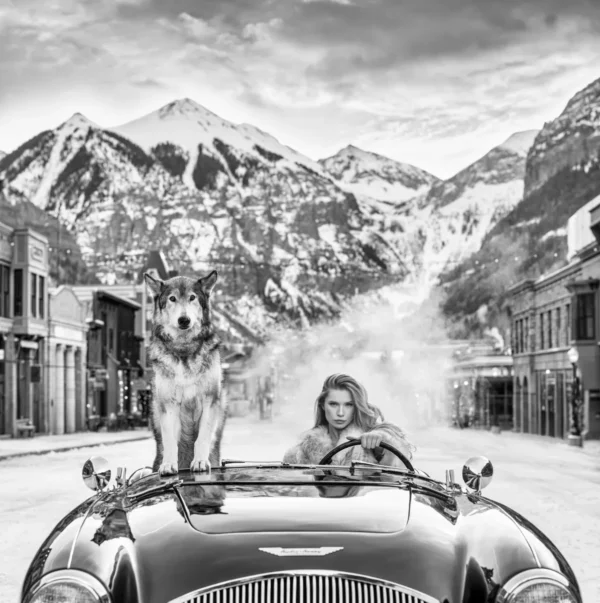 Yarrow Last Christmas 2024, woman and wolf in a car aston martin