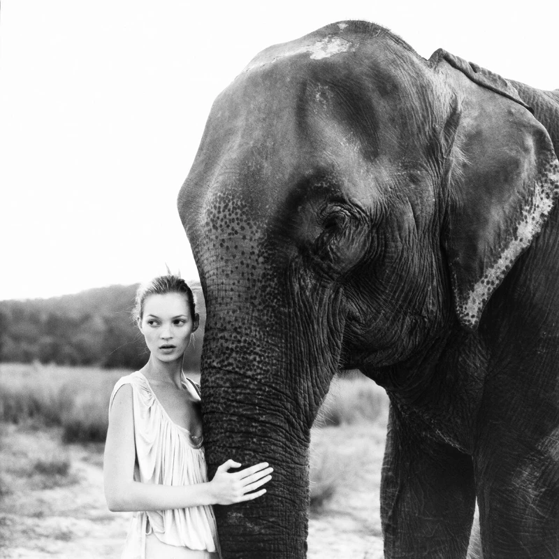 Elgort_Kate Moss and Elephant_Nepal_British Vogue_1993_ square