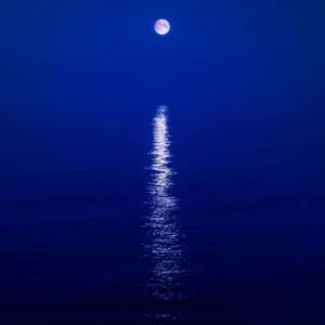 Drebin Moonbeam 2021 blue water moon reflection