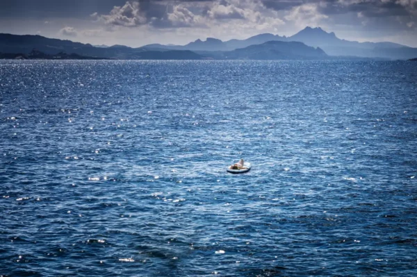 Derabin Mystic Waters woman floating in the ocean