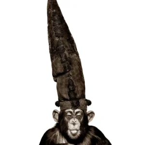 Watson Monkey with Wizzard Hat