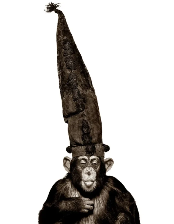 Watson Monkey with Wizzard Hat