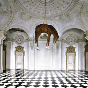 Castello di Rivoli a Torino by Massimo Listri, horse hanging in baroque interior