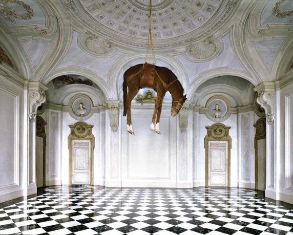 Castello di Rivoli a Torino by Massimo Listri, horse hanging in baroque interior