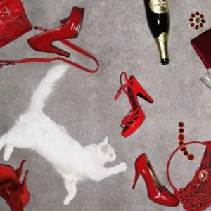 Jesse Frohman, Red Shoes Bags Champagne skattered on the floor with white cat