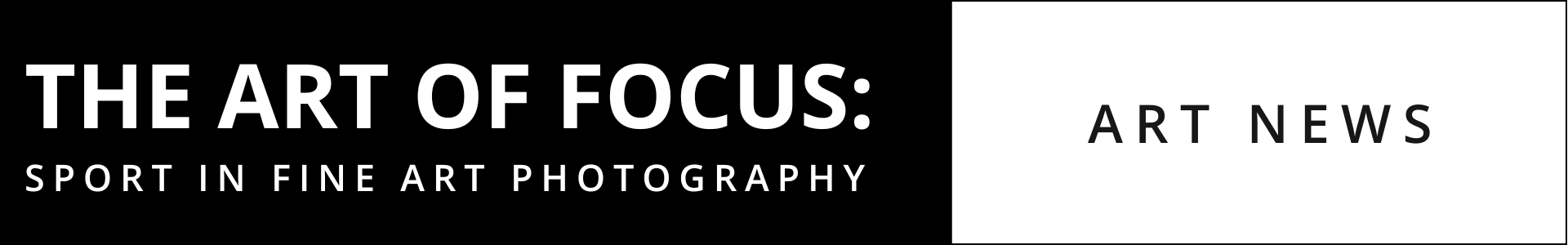 Website Banner_Sport_ART OF FOCUS_Art News Art news Banner Valentines sex love and tenderness