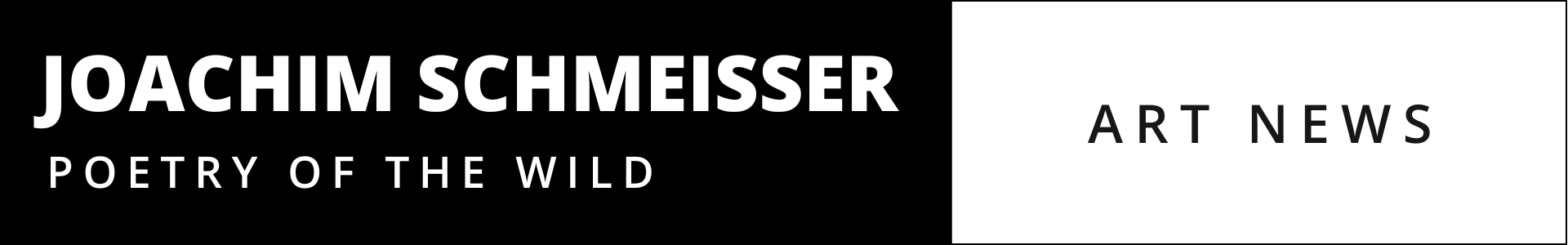 The Italian Job by David Yarrow - Model standing on a Motorboat infront of the italian Coastline with coastal village in the background