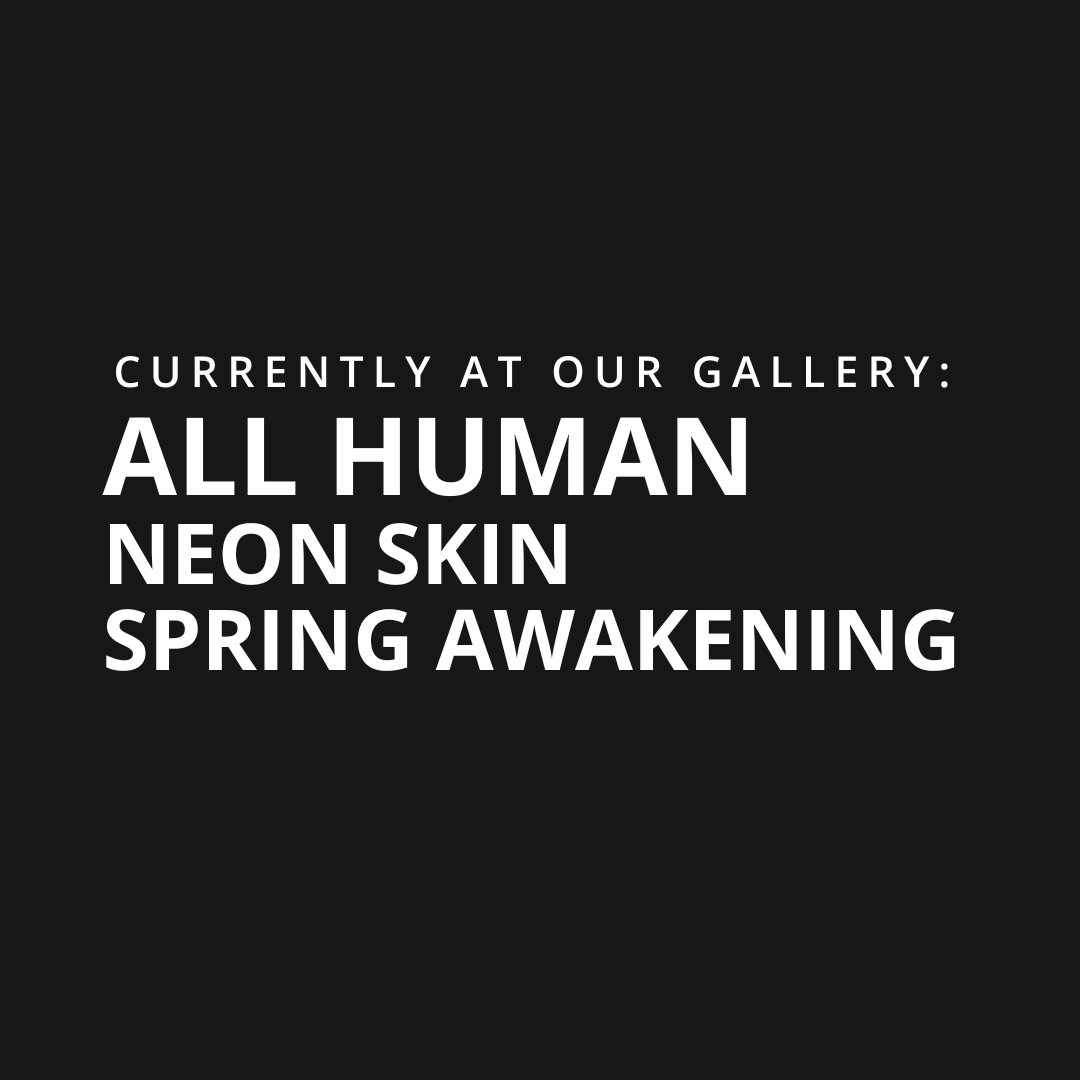 falling into focus banner