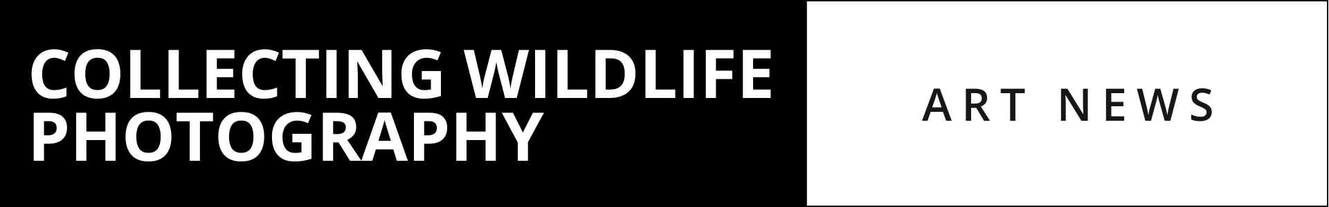 The Italian Job by David Yarrow - Model standing on a Motorboat infront of the italian Coastline with coastal village in the background